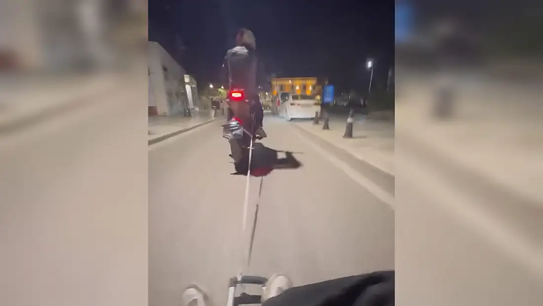 Bodrum’da gece yarısı tehlikeli şov can güvenliği hiçe sayıldı