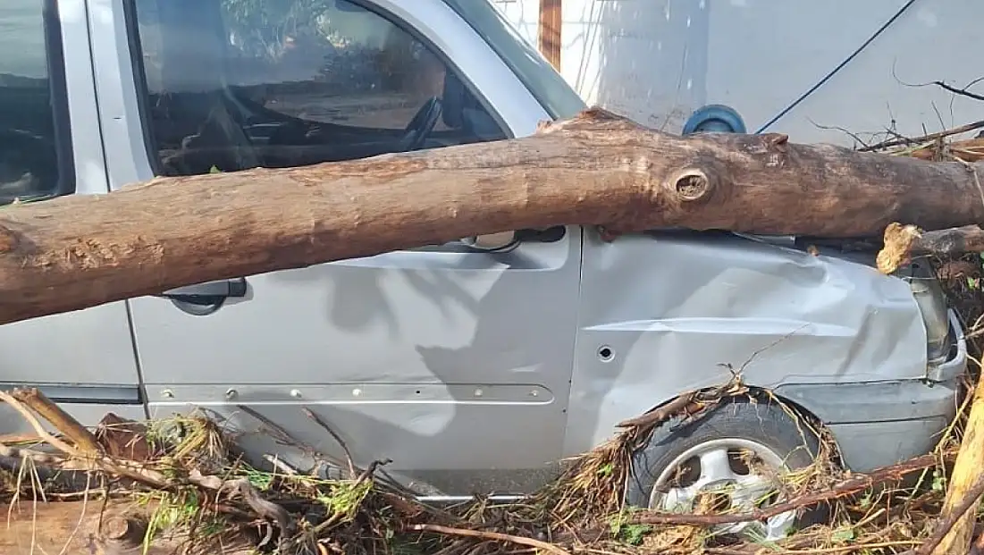 Marmaris'te sağanak yağışın izleri gün ağarınca ortaya çıktı