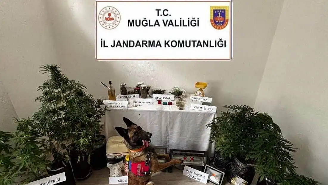 Uyuşturucu Operasyonu: 1 Kişi Tutuklandı