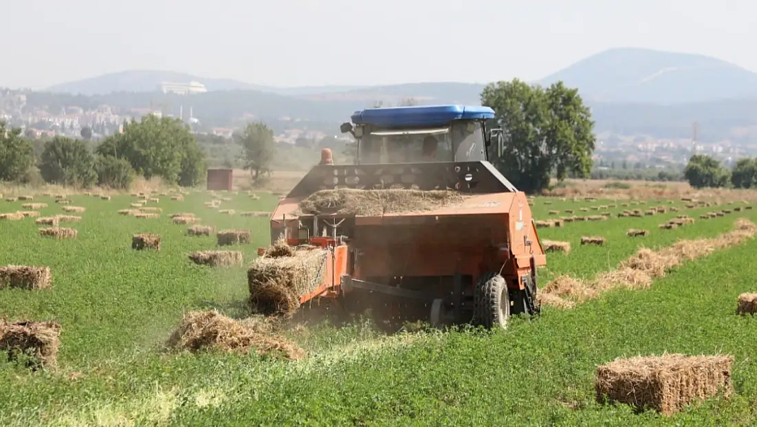 Yem bilgisi desteği askıya çıktı