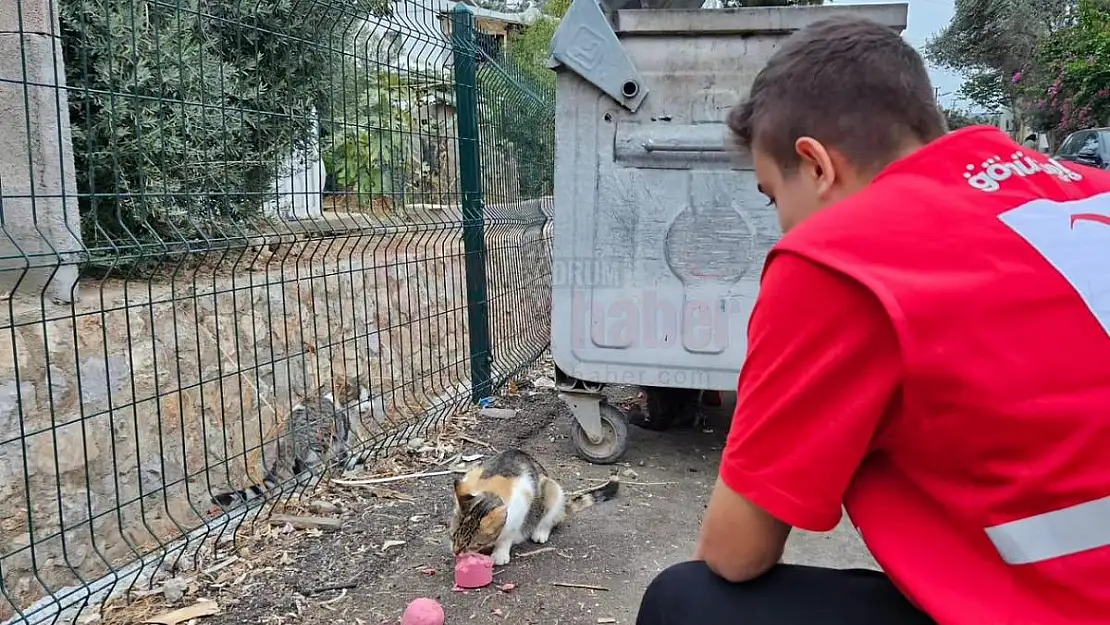 10 Koli Yiyeceği Sokak Hayvanlarına Dağıttılar