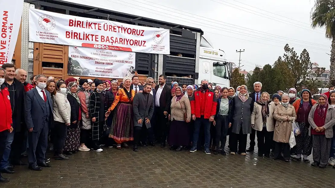 100 Kadın Çiftçiye 1040 Küçükbaş Hayvan Dağıtıldı
