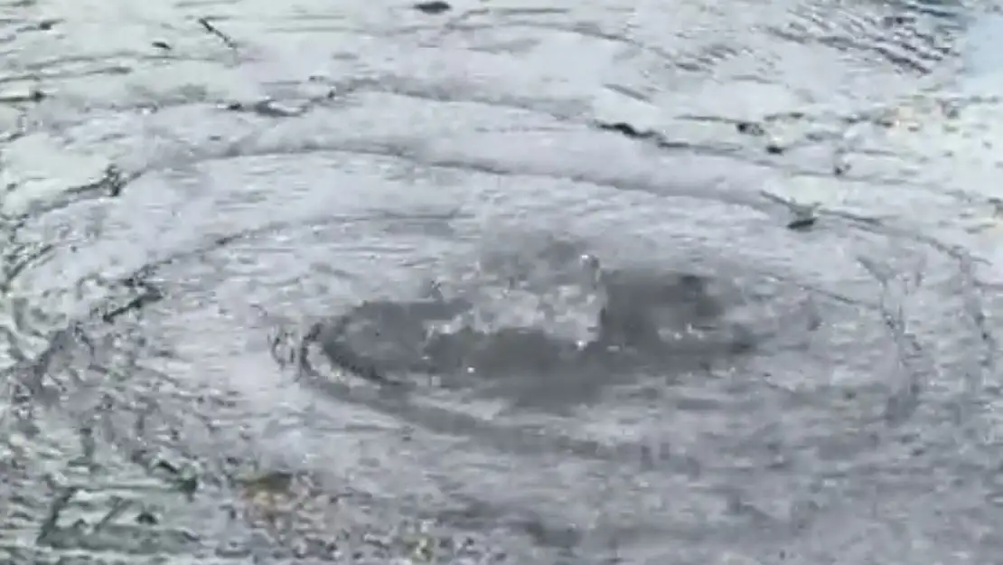 19 Ocak'ta Uyardık rezerv denize akıyor