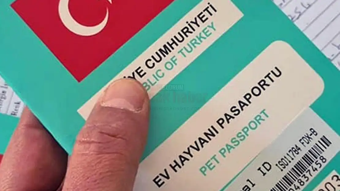 37 Bin Havyana Mikroçip Takıldı