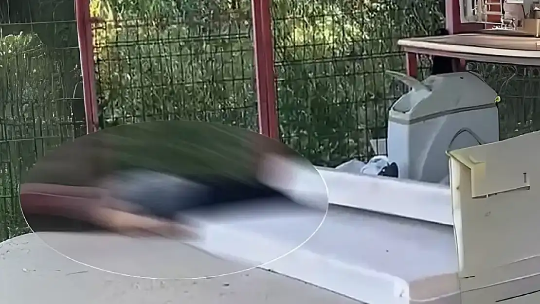 55 yaşındaki Birol Tezgeç ölü bulundu
