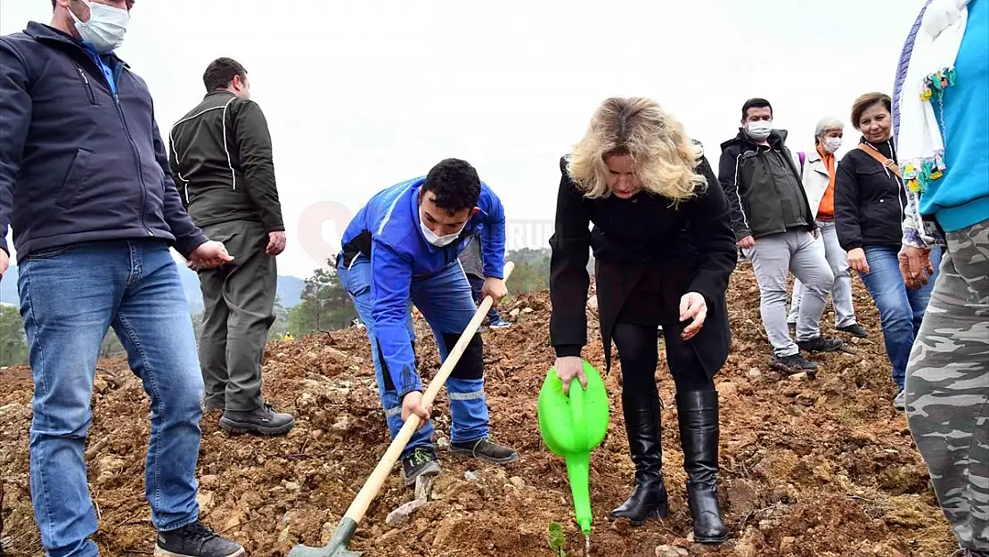 8 bin 500 fidan toprakla buluştu