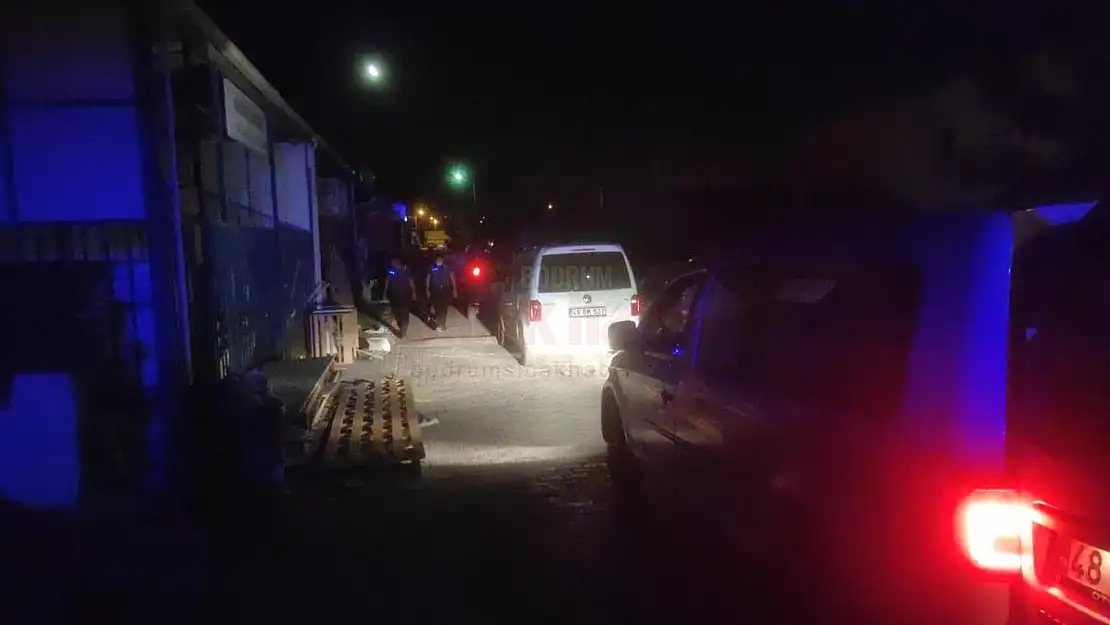Abi, Kardeş Arasındaki Kavga Kanlı Bitti