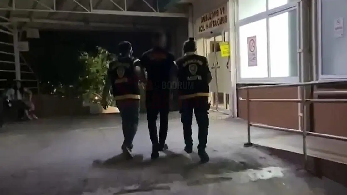 Ağaca Çıkarak Meşaleli Şov Yapan Şahıs Gözaltına Alındı