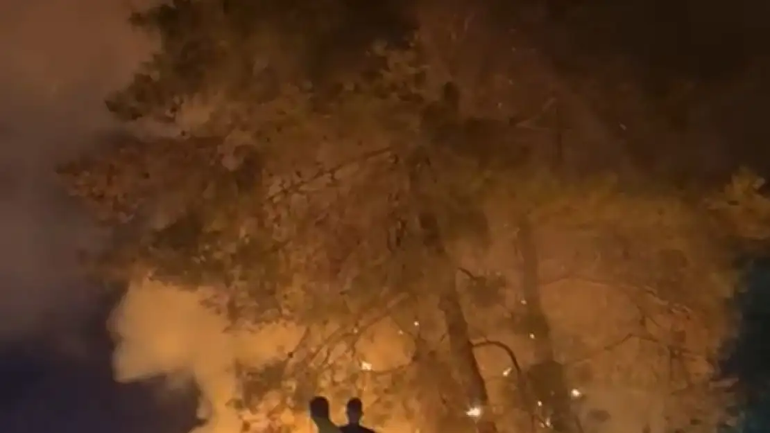 Akyaka'da gece saatlerinde çıkan yangın korkuttu !