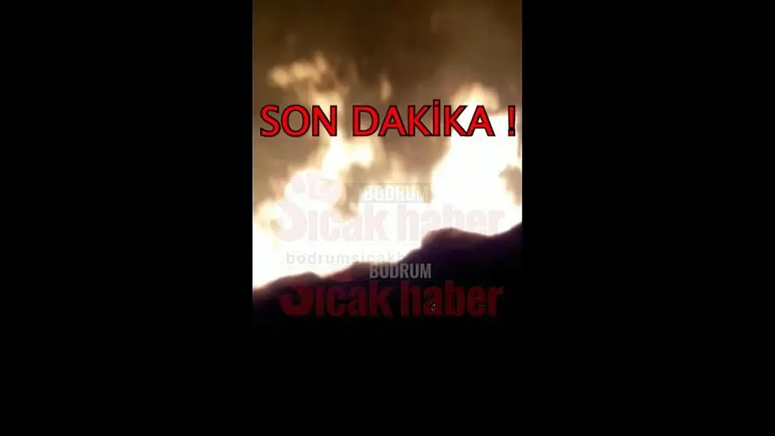 Akyarlar Bölgesinde Yangın Çıktı!