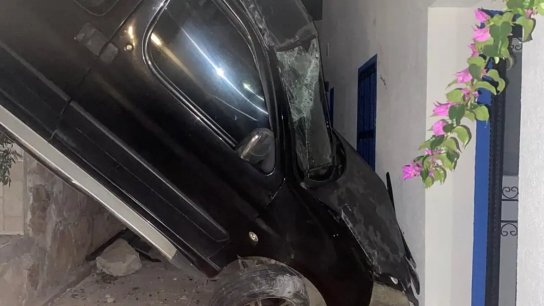 Araç Evin Bahçesine Düştü, 3 Yaralı