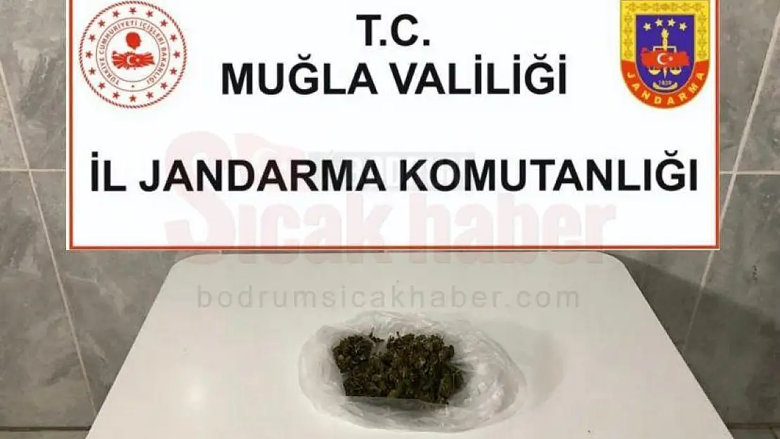 Arama Köpeği Kaptan, Şüphelinin Üzerindeki Uyuşturucuyu Yakaladı