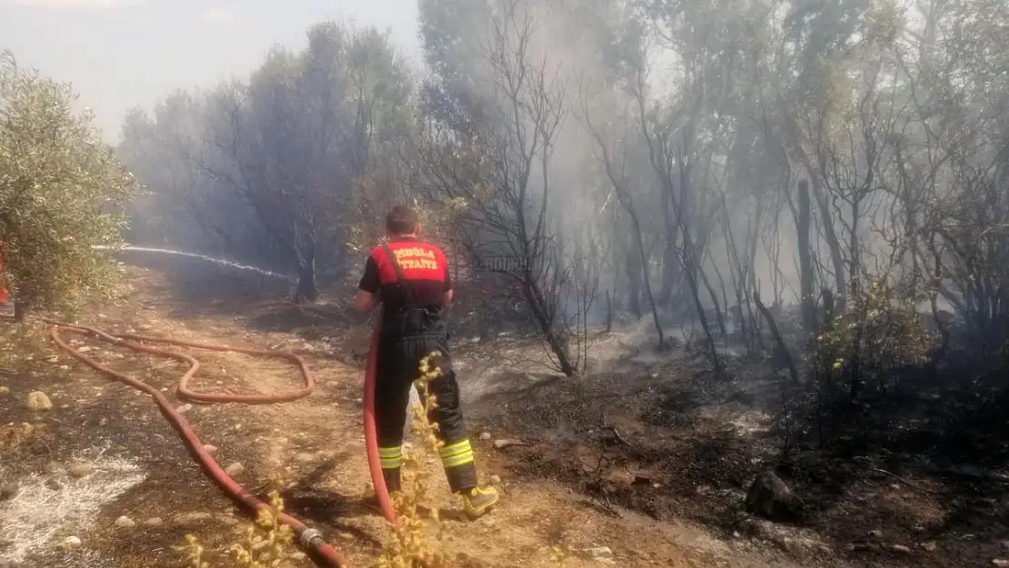 Arazi Yangını İtfaiye Ekiplerince Söndürüldü
