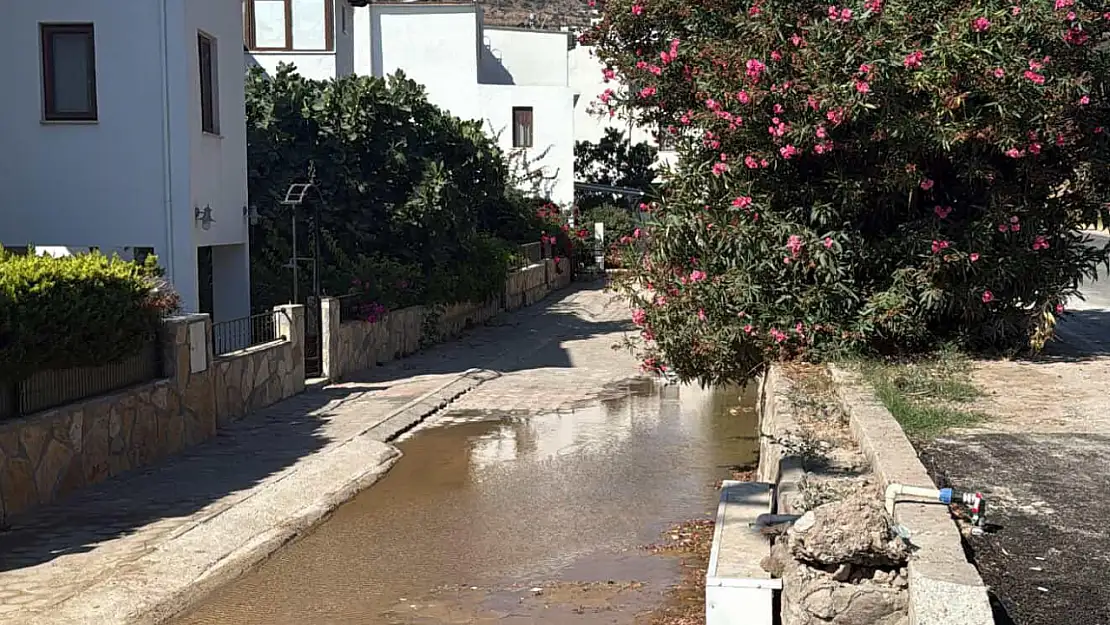 Aynı cadde aynı sorun !