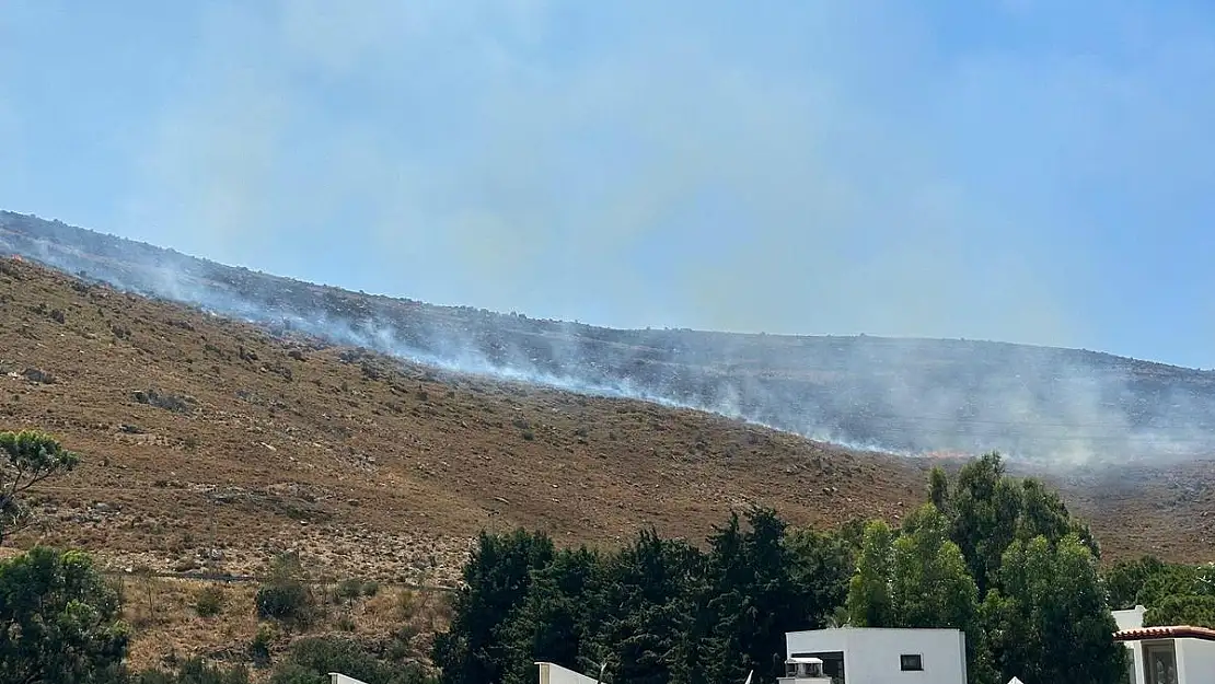 Bağla ve Kızılağaç'ta  Yangın Çıktı