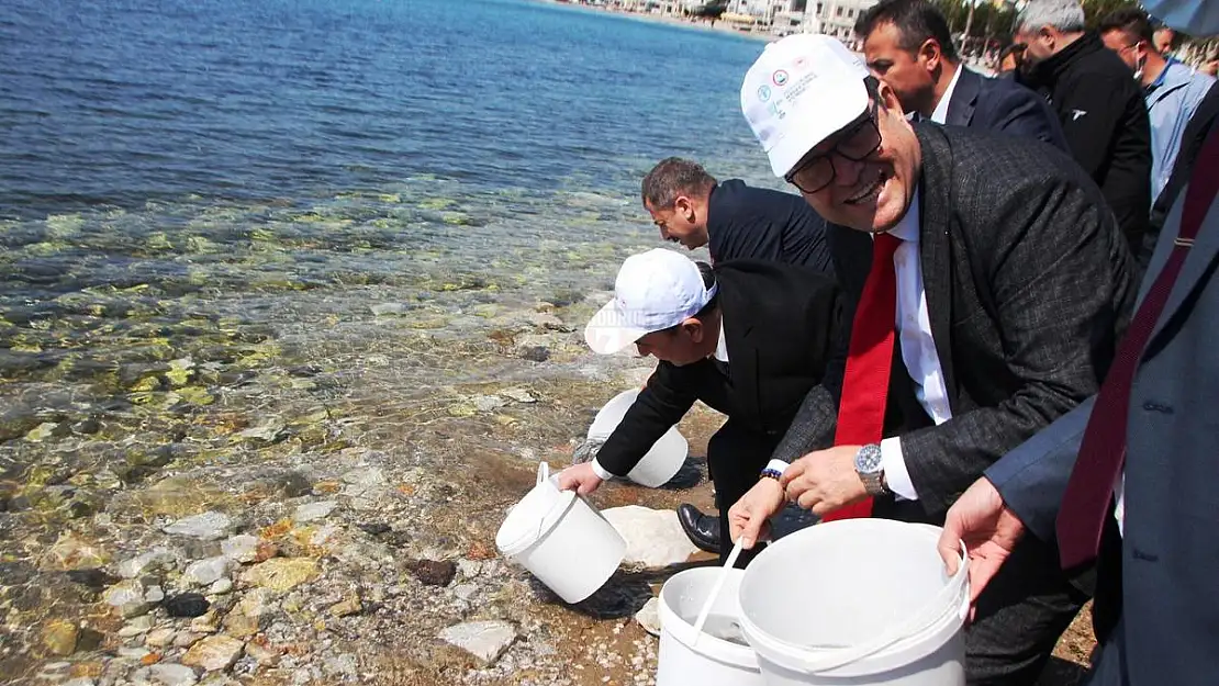 Balık İhracatında Yeni Hedef 2 Milyar Dolar