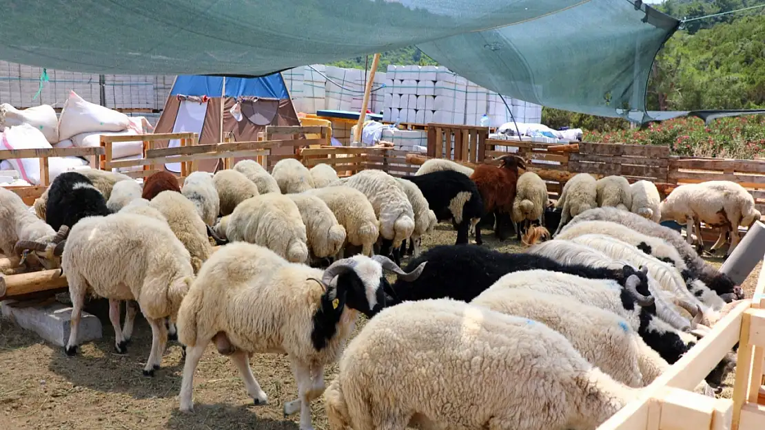 Bayram boyunca belediye ekipleri tam kadro görevde
