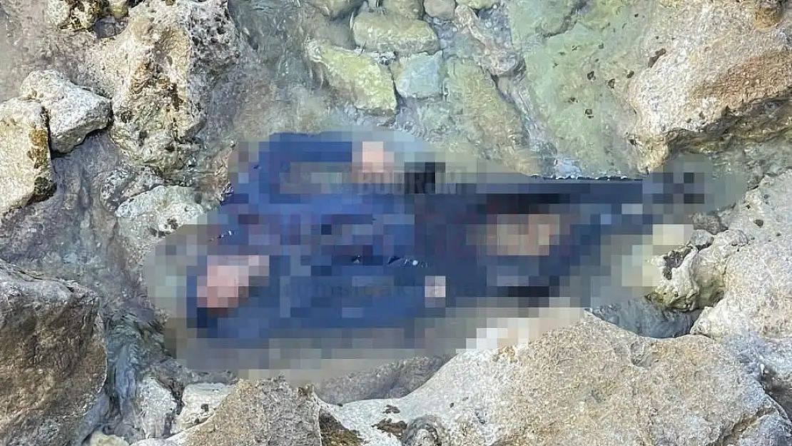 Bıçaklandıktan sonra denize atılmış