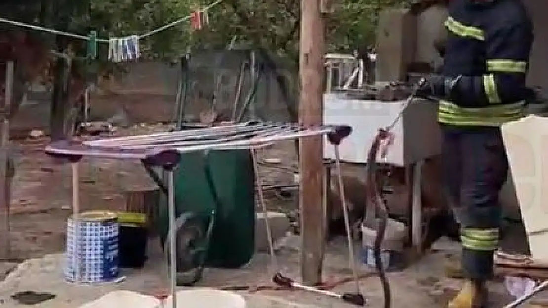 Bitez'de Eve Giren Boz Yılan Korkuttu