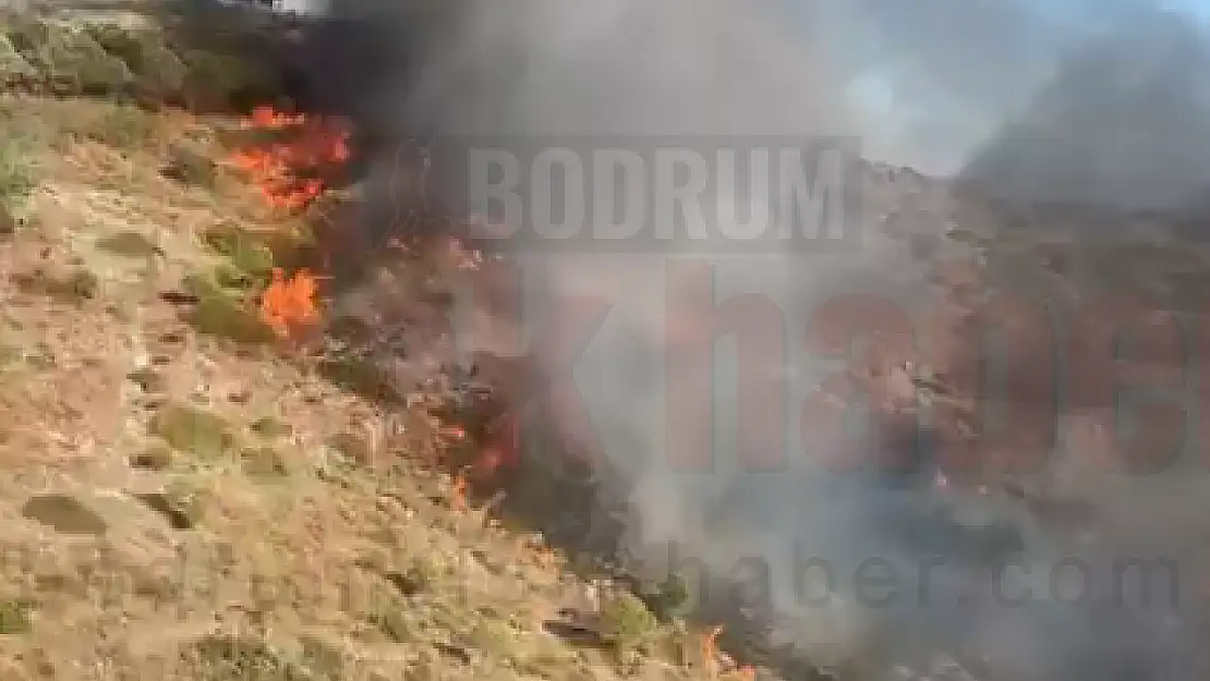 Bitez'de Makilik Alanda Yangın Çıktı