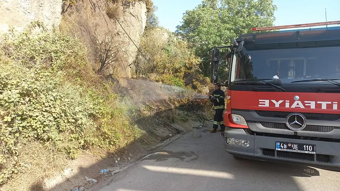 Bitez'de Otluk Alanda Yangın Çıktı