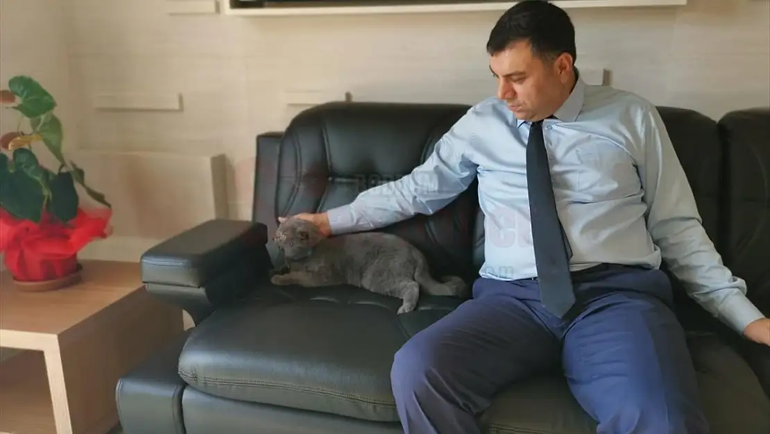 Bodrum Adliyesi sokak köpeklerini sahiplendi