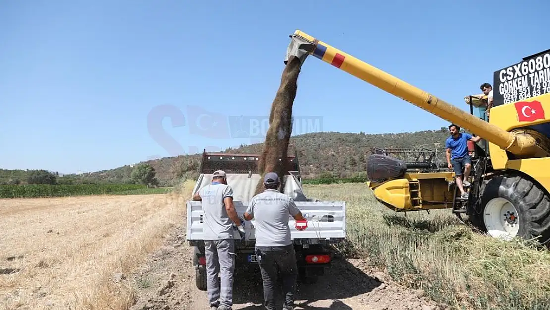 BODRUM BELEDİYESİ, AKARYAKITINI KENDİ ÜRETİYOR