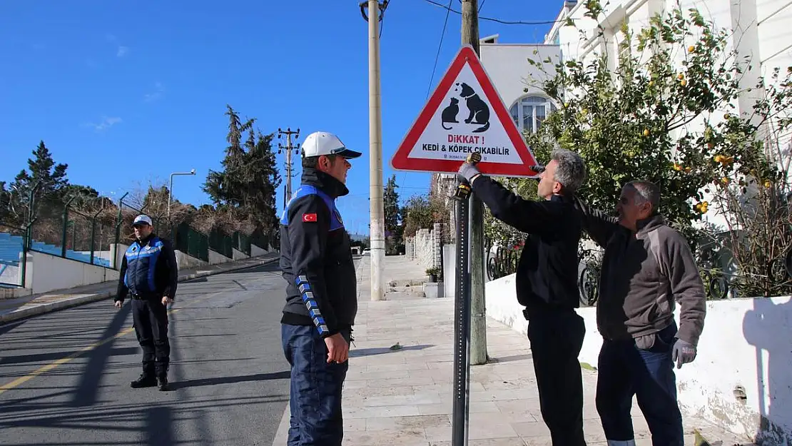 BODRUM BELEDİYESİ'NDEN CANLAR İÇİN TABELA...