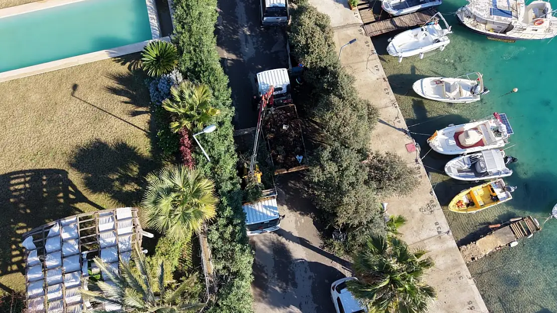 Bodrum'da çevre kirliliğine karşı mücadele