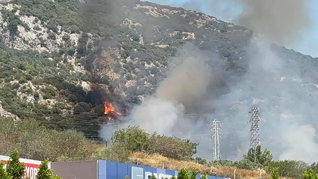 Bodrum'da makilik ve ormanlık alanda yangın çıktı