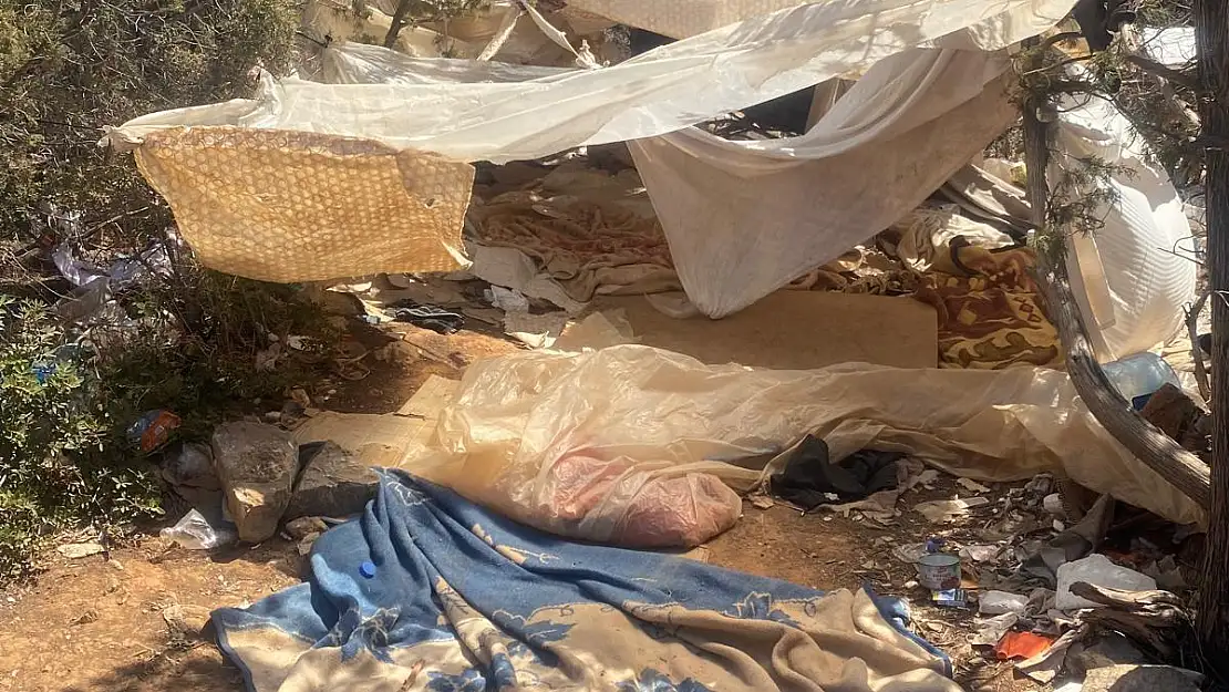Bodrum İçmeler'deki Ormanlık Alan Çevre Kirliliği ve Yangın Riski Altında