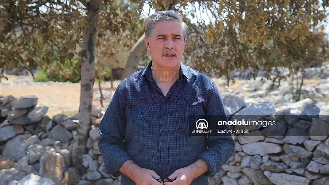 Bodrum Kaymakamı Bekir Yılmaz, yangınla mücadeleyi anlattı: