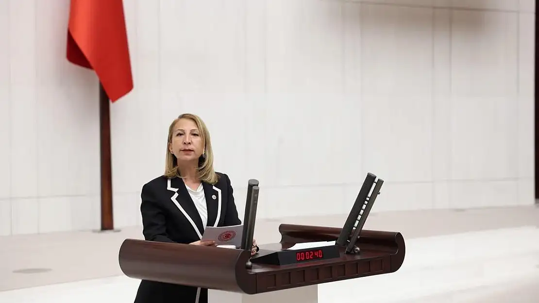 Bodrum Mazı  Köylüleri RES  Projesinde Şeffaflık Bekliyor