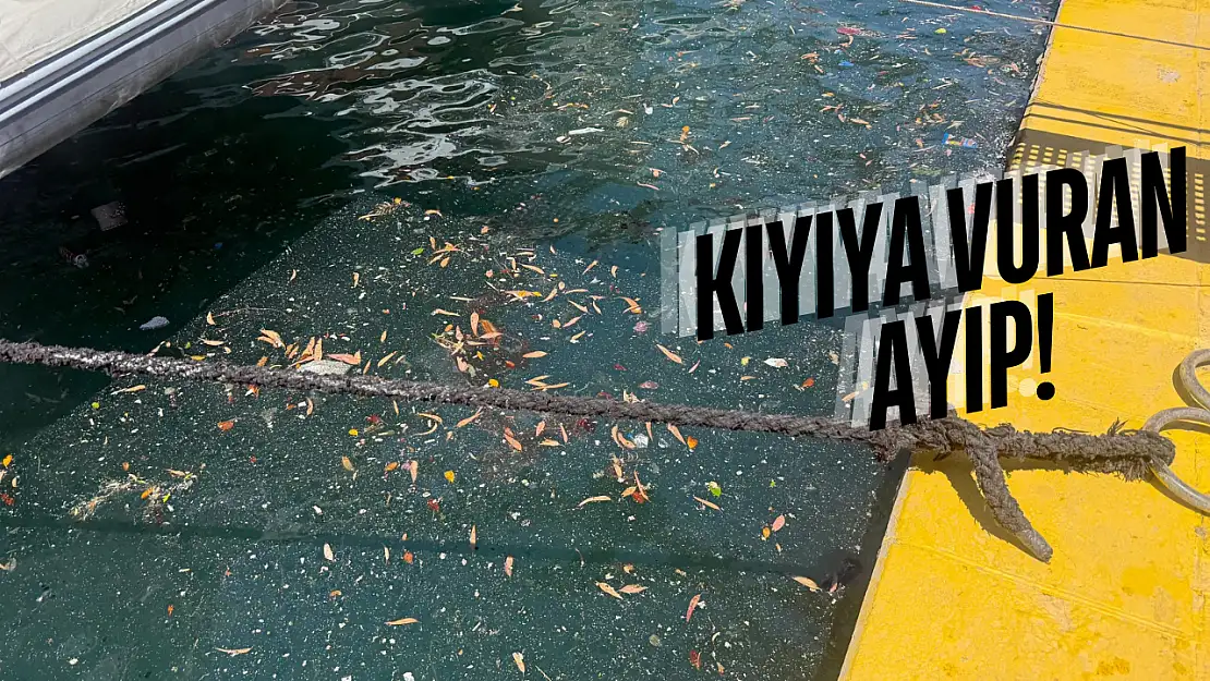 Bodrum'un mavi sularında, kırmızı alarm!