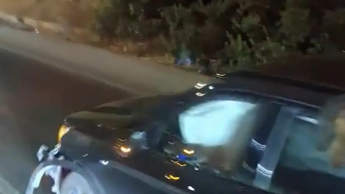 Bodrum Yolunda Domuz Kazası!