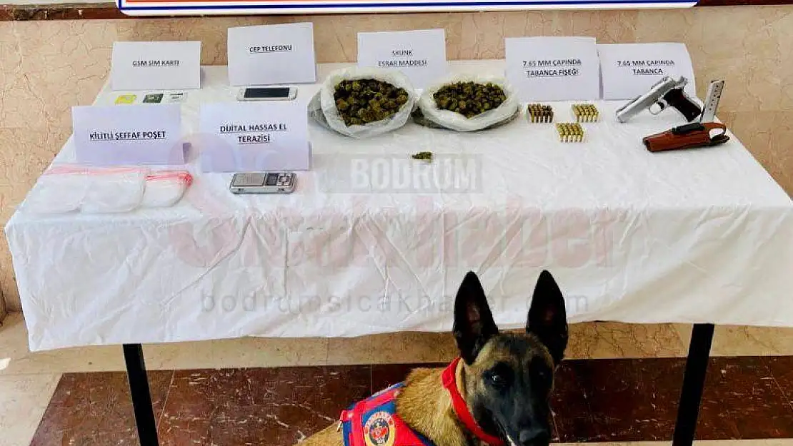 Bodrum'da 1250 Gram Uyuşturucu Madde Ele Geçirildi