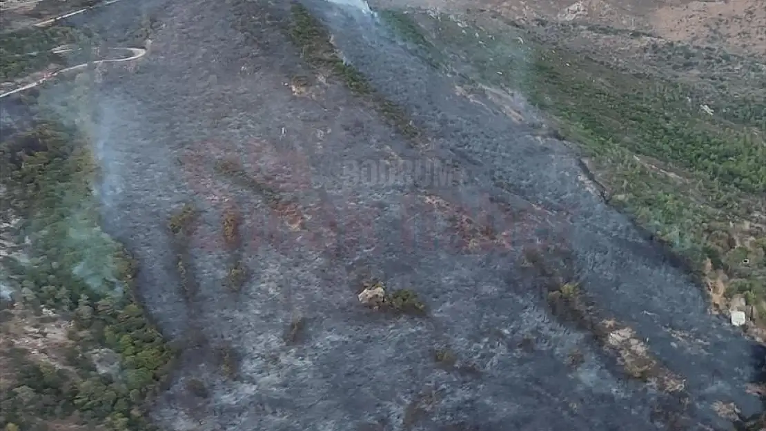 Bodrum'da çıkan yangında 5 hektar makilik alan zarar gördü