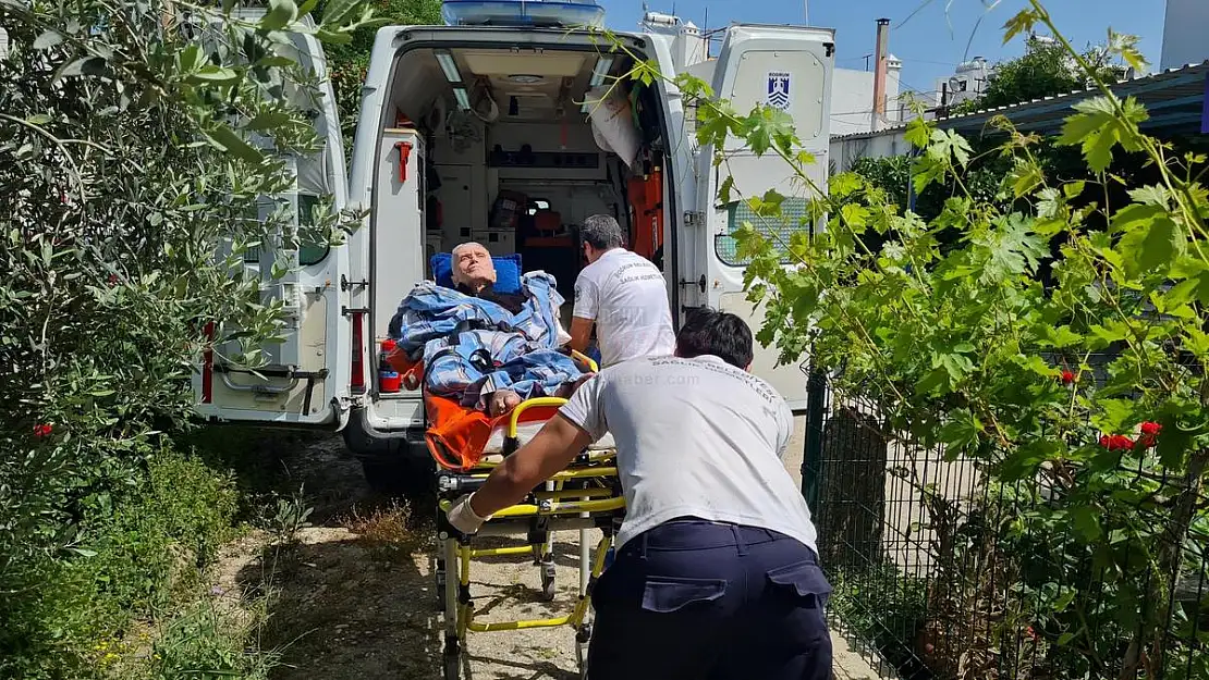 Bodrum'da Herkes Oyunu Kullanmaya Başladı