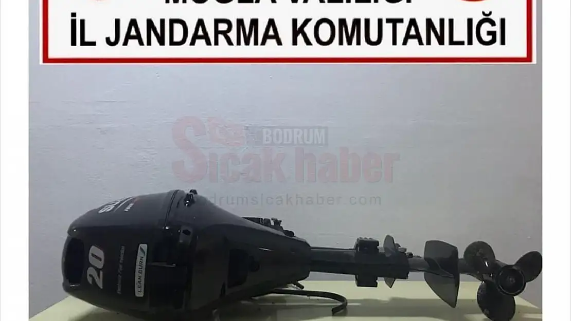 Bodrum'da hırsızlık yaptıkları iddiasıyla 2 şüpheli tutuklandı