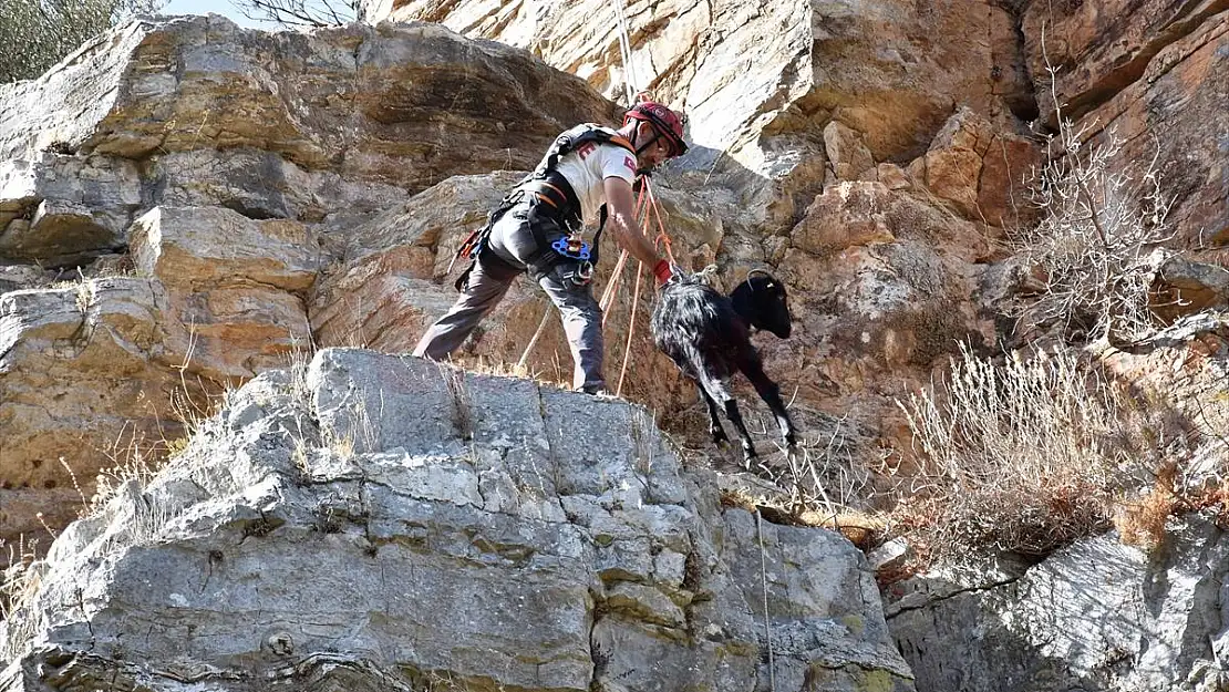 Bodrum'da kayalıklarda mahsur kalan iki keçi kurtarıldı
