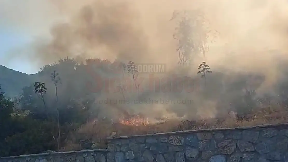 Bodrum'da Kızılburun Mevkiindeki Otluk Alanda Yangın Kontrol Altına Alındı