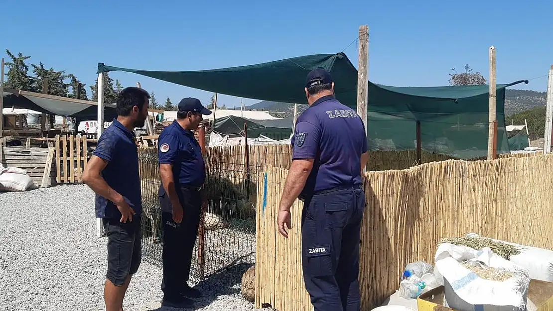 Bodrum'da Kurban Kesim Yerleri Hazırlandı