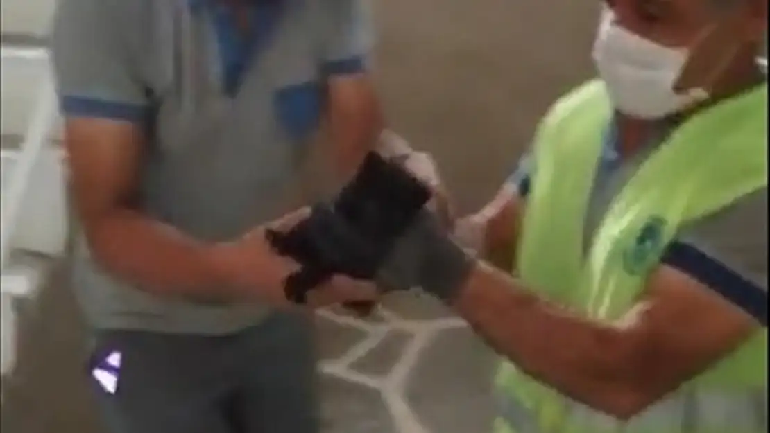Bodrum'da mahsur kaldığı sarnıçtan kurtarılan kedi yavrusunu belediye personeli sahiplendi