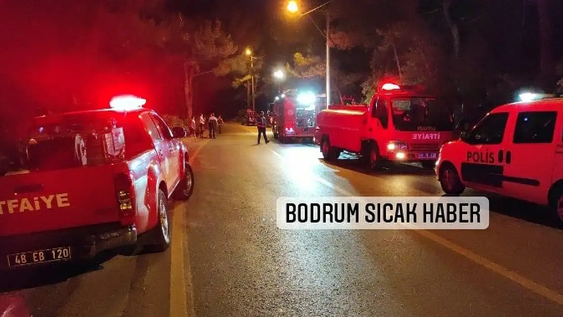 Bodrum'da Orman Yangını Korkuttu