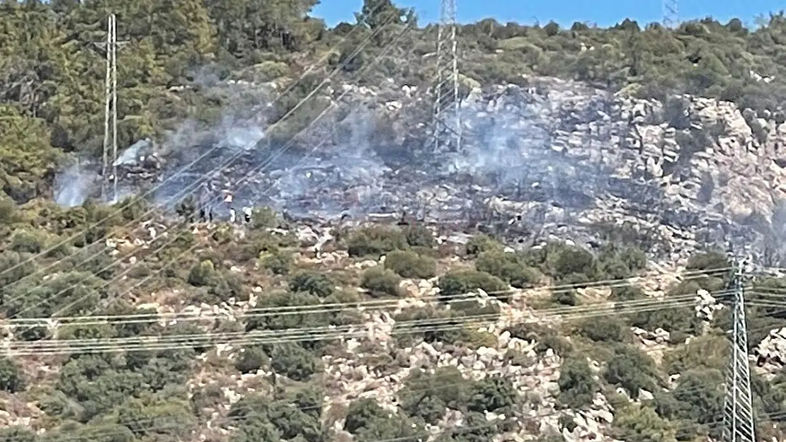 Bodrum'da ormanlık alanda çıkan yangın kontrol altına alındı
