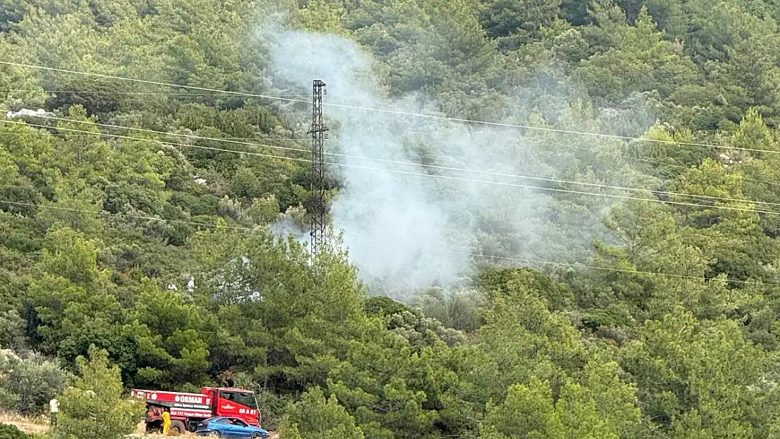 Bodrum'da Ormanlık Alanda Yangın Çıktı
