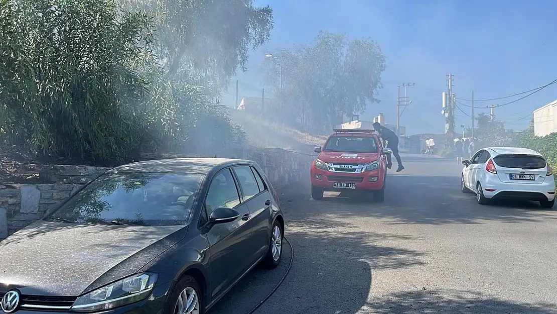 Bodrum'da Otluk Alanda Çıkan Yangın Korkuttu