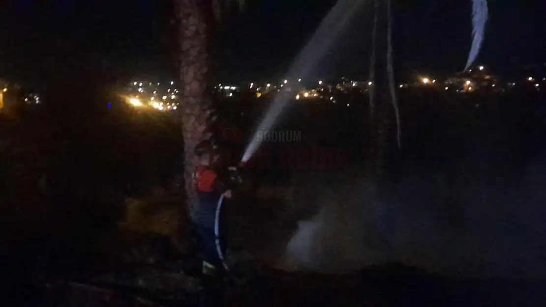 Bodrum'da Otluk Alanda Yangın Çıktı