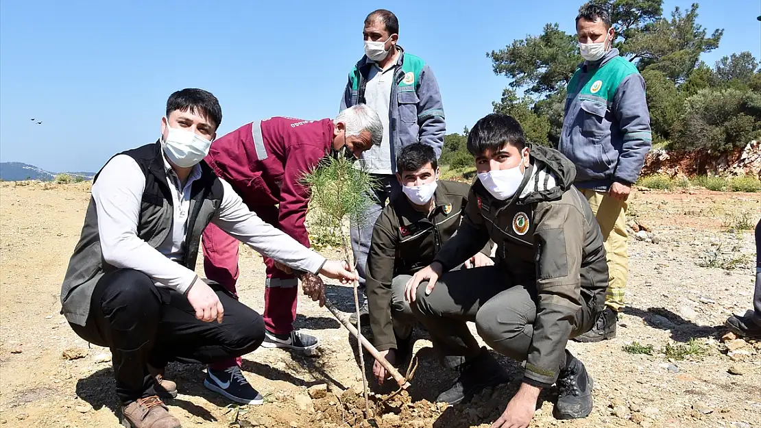 Bodrum'da sağlık çalışanları anısına fidan dikildi