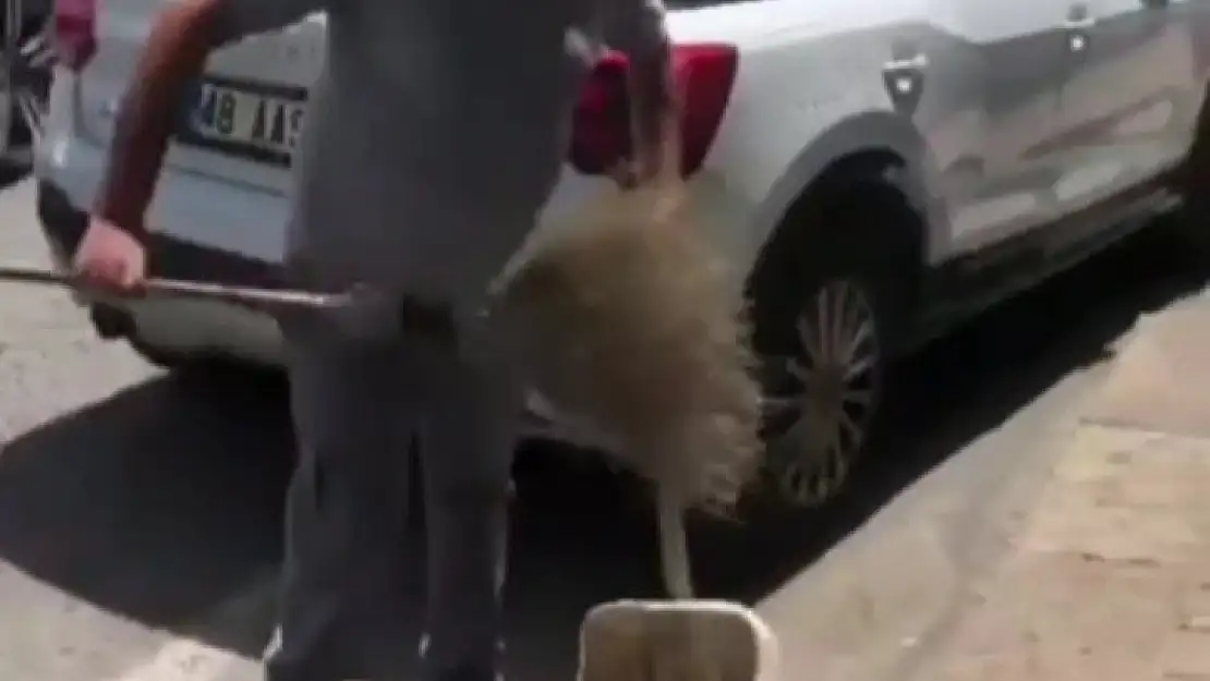 Bodrum'da temizlik böyle yapılır